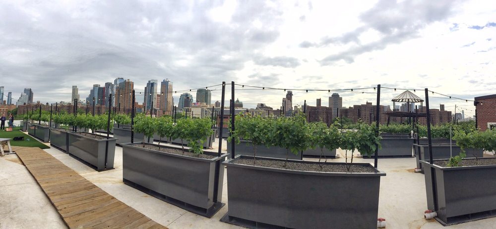 Rooftop reds