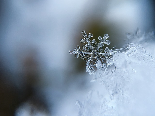 White Snow Flake